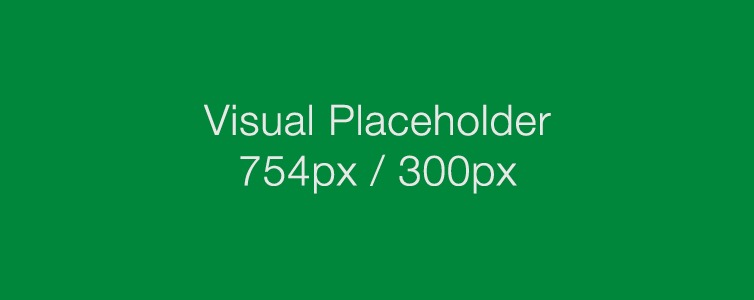 Head visual placeholder